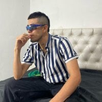 sebas_fire webcam model