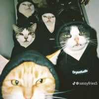 JotaDShani's Avatar Pic