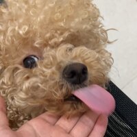 Luna520's Profile Pic