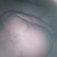 Macanxxx