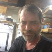brasstiger webcam