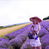 dirtysexk99's Offline Chat Room