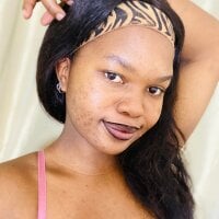 HoeSlytes webcam model