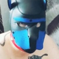 gaywolf426