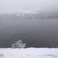 صورة أفاتار A-Y-A-R-S-I-Z