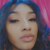 SummerTyme webcam model