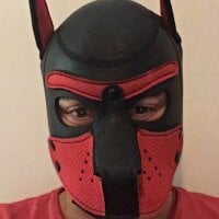 Maskpor2022 webcam