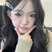 ynstr webcam