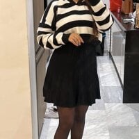 Model El-Jouri