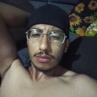 Dachog webcam