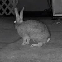 Robert_420_lover 头像图片