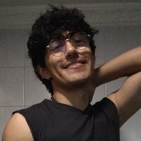 Petitaxel webcam