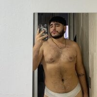 bulky_panda webcam