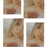 NecoCheese's Offline Chat Room