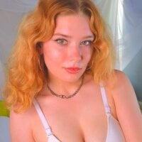 HildHelm webcam model