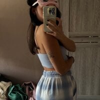 dimusee webcam model