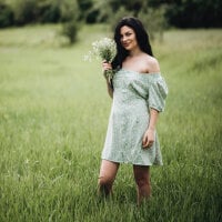 SkyBri_i webcam model