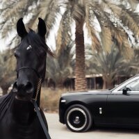 daxun-001 Avatarbild