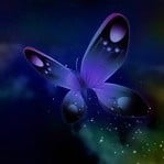 xandylee's Avatar Photo