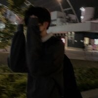 lkun9 webcam