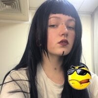 March_snow webcam model