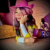 Palmer-Foster webcam