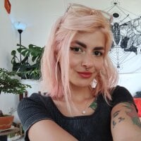 Satti_to webcam model