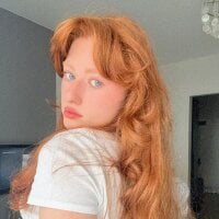 Модель Stefa_lu