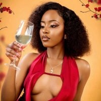 Silky-nightt webcam model