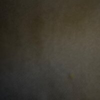 forza2803 webcam