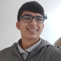 MonkeyRemover webcam