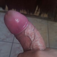 Ellpreto19 webcam