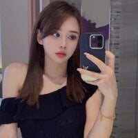 nan-1 webcam model