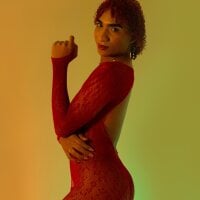 Stannlyy webcam model