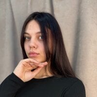 TinyBruge webcam model