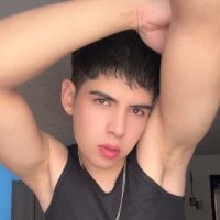 Stick_ledom