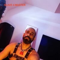 Alphapigbln webcam