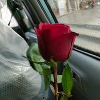 mariano1_20's Avatar Pic