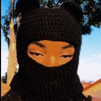 LesevaX webcam model