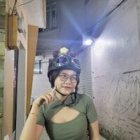 minlight webcam model