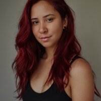 Офлайн-чат CelestiaNoir