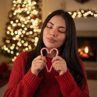 Rousse_land webcam model