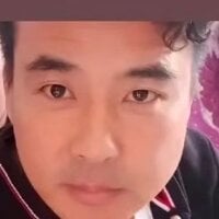 Mistliu webcam model