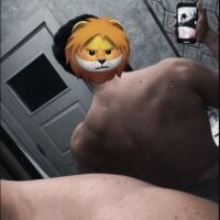 turkandhulks24