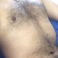 hairydesiguy