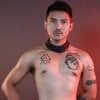 Thefriskyasian