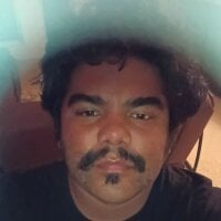 Brickstash webcam
