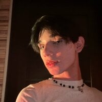 NikGive webcam model