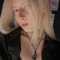 error_occurred_ webcam model