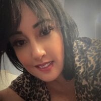 Willowwildfire webcam model